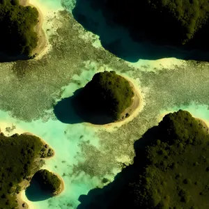 Tropical Coral Ridge: Vibrant underwater paradise teeming with marine life.