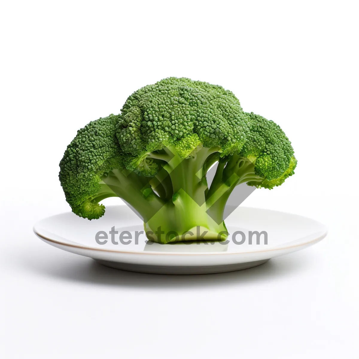 Picture of Fresh Organic Broccoli for Healthy Eating and Cooking