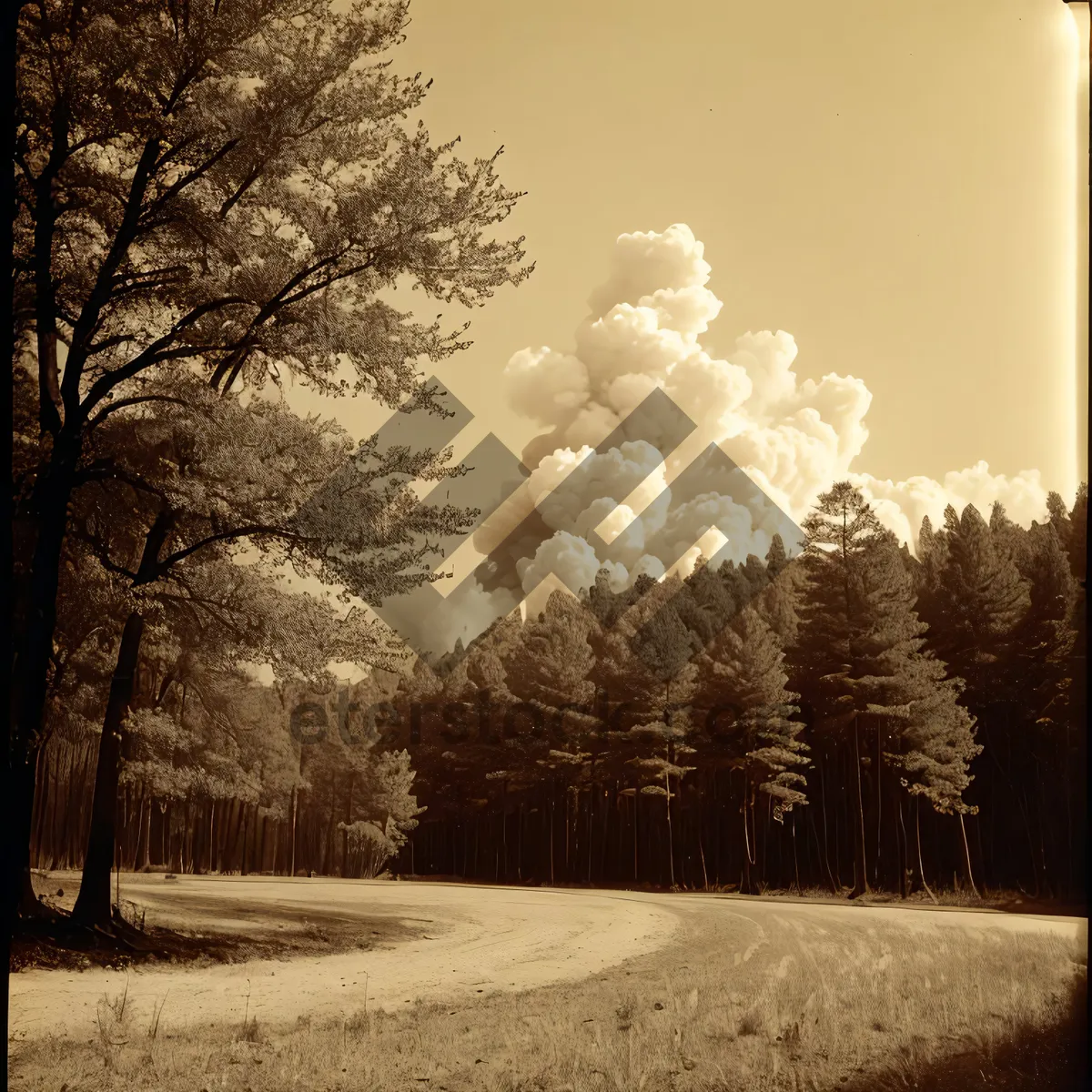 Picture of Winter Wonderland - Majestic Snowy Forest Landscape
