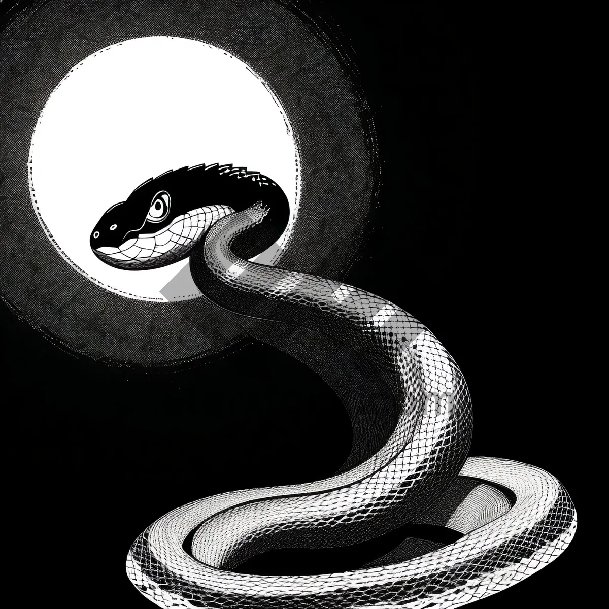 Picture of Deadly Venom: Nighttime Cobra Slithering in the Dark