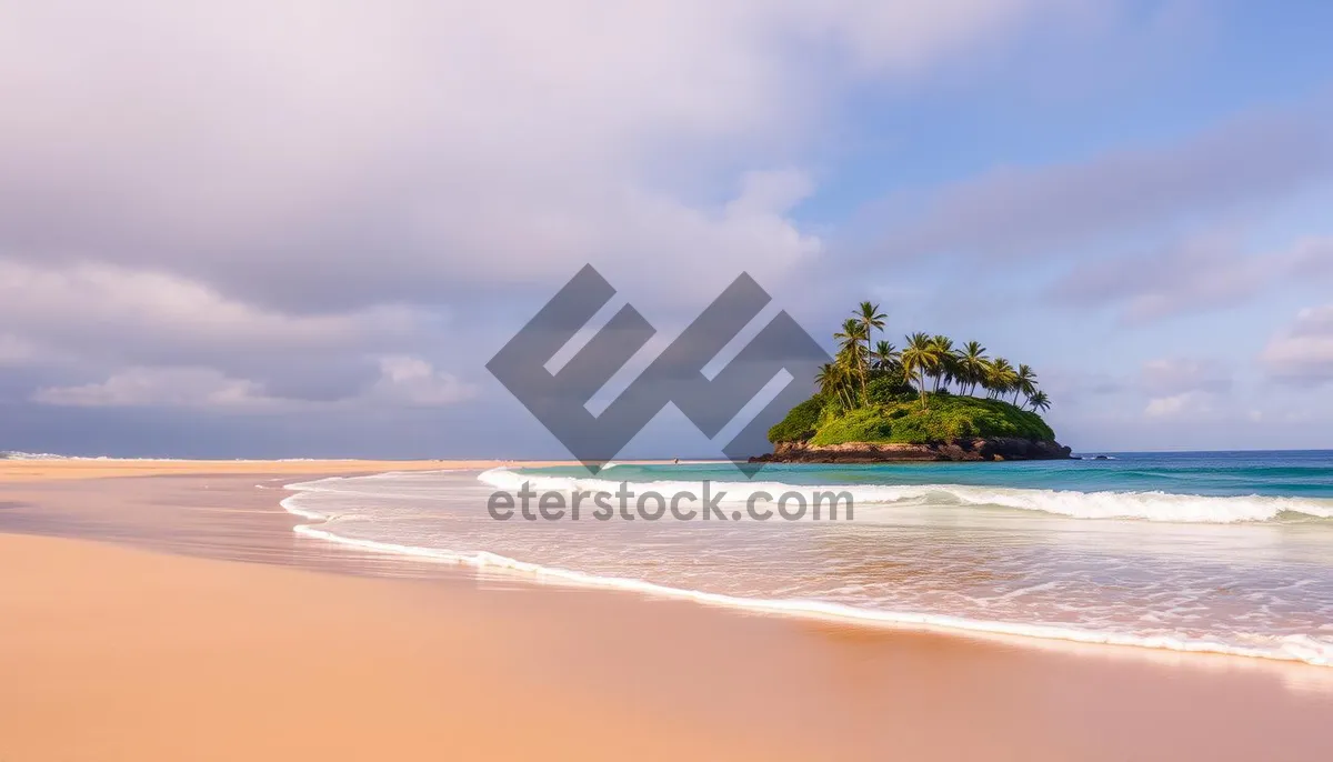 Picture of Tropical island beach with clear turquoise water and palm trees.