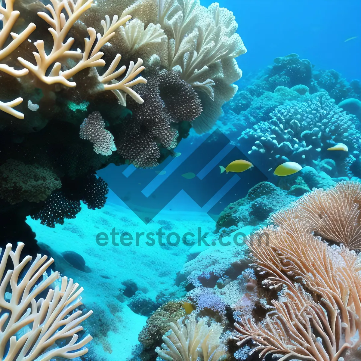 Picture of Tropical Underwater Coral Reef with Colorful Fish.