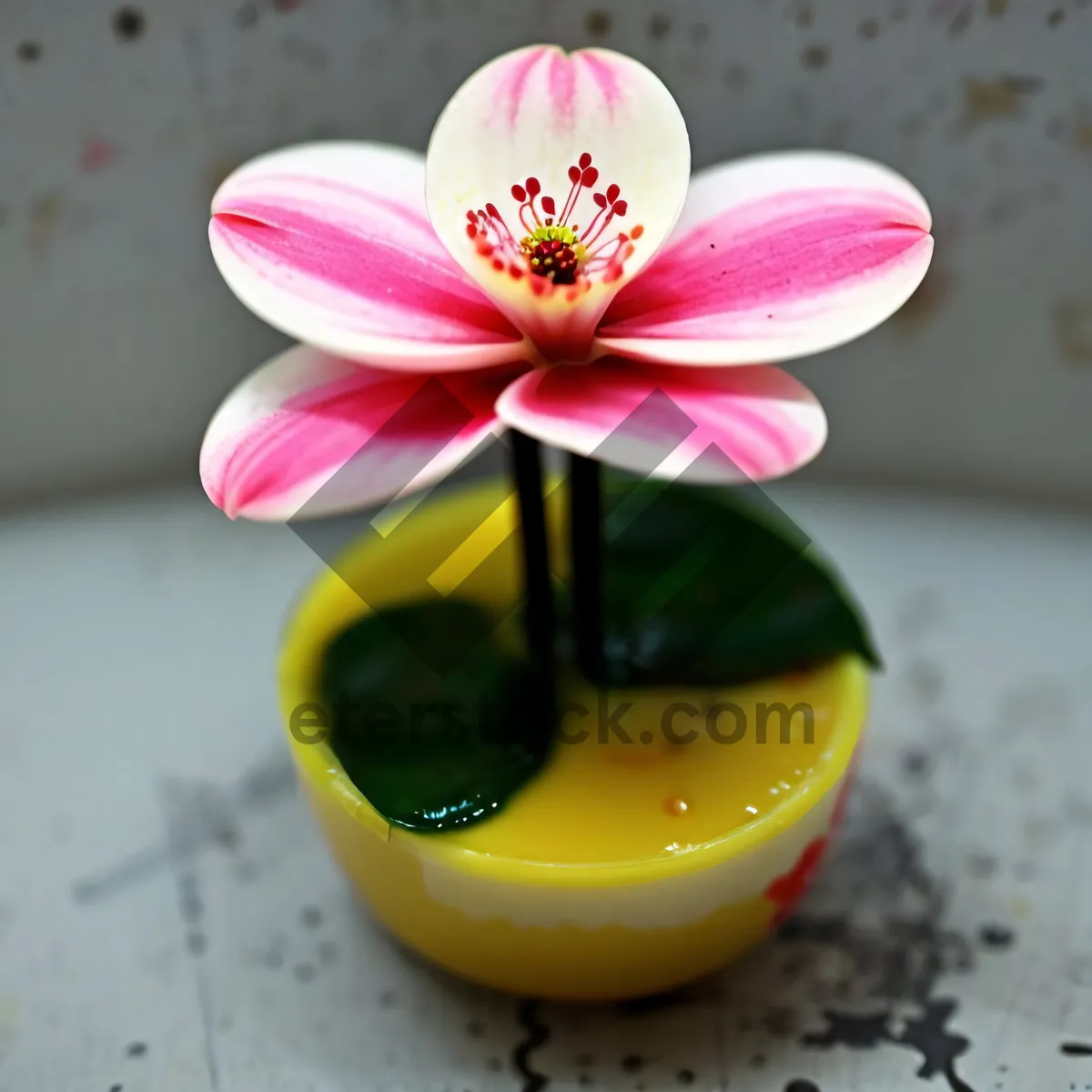 Picture of Energizing Floral Spa Massage with Pink Blossoms