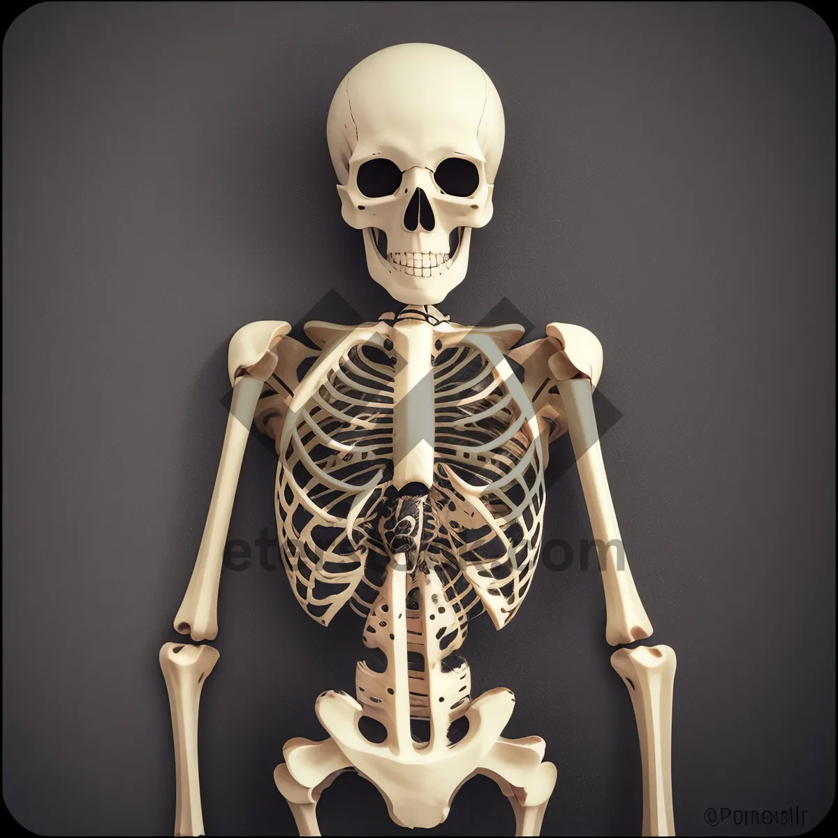 Picture of Spooky Skeleton Head Amulet: Bone-Chilling Pirate Pose