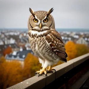 Intense Gaze: Majestic Owl Staring with Piercing Yellow Eyes