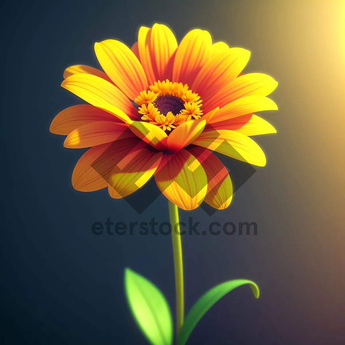 Picture of Vibrant Sunflower Blooming in Garden