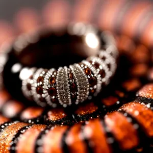 Royal Serpent Jewelry: King Snake-inspired Reptile Design