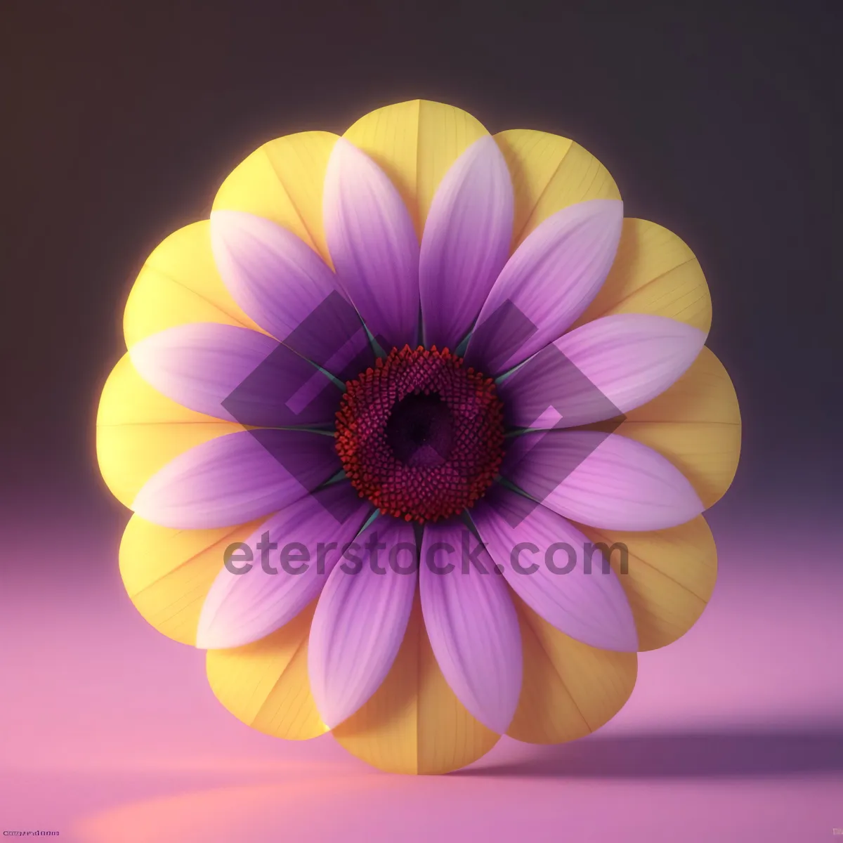 Picture of Vibrant Pollen-Filled Pink Daisy Blossom in Summer