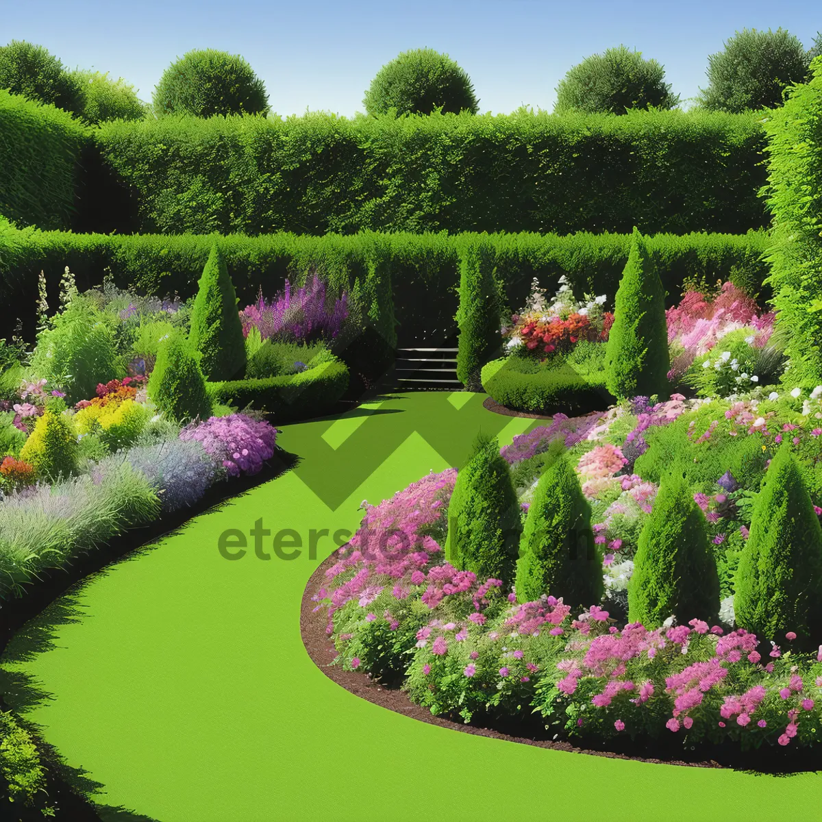 Picture of Summer Park Landscape with Blooming Lavender and Trees