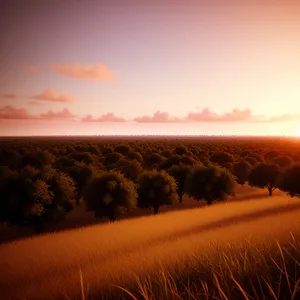 Serenity at Sunset: Majestic Sky over Rural Landscape