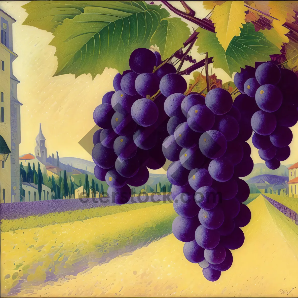 Picture of Juicy Autumn Harvest: Vineyard's Ripe Purple Grapes