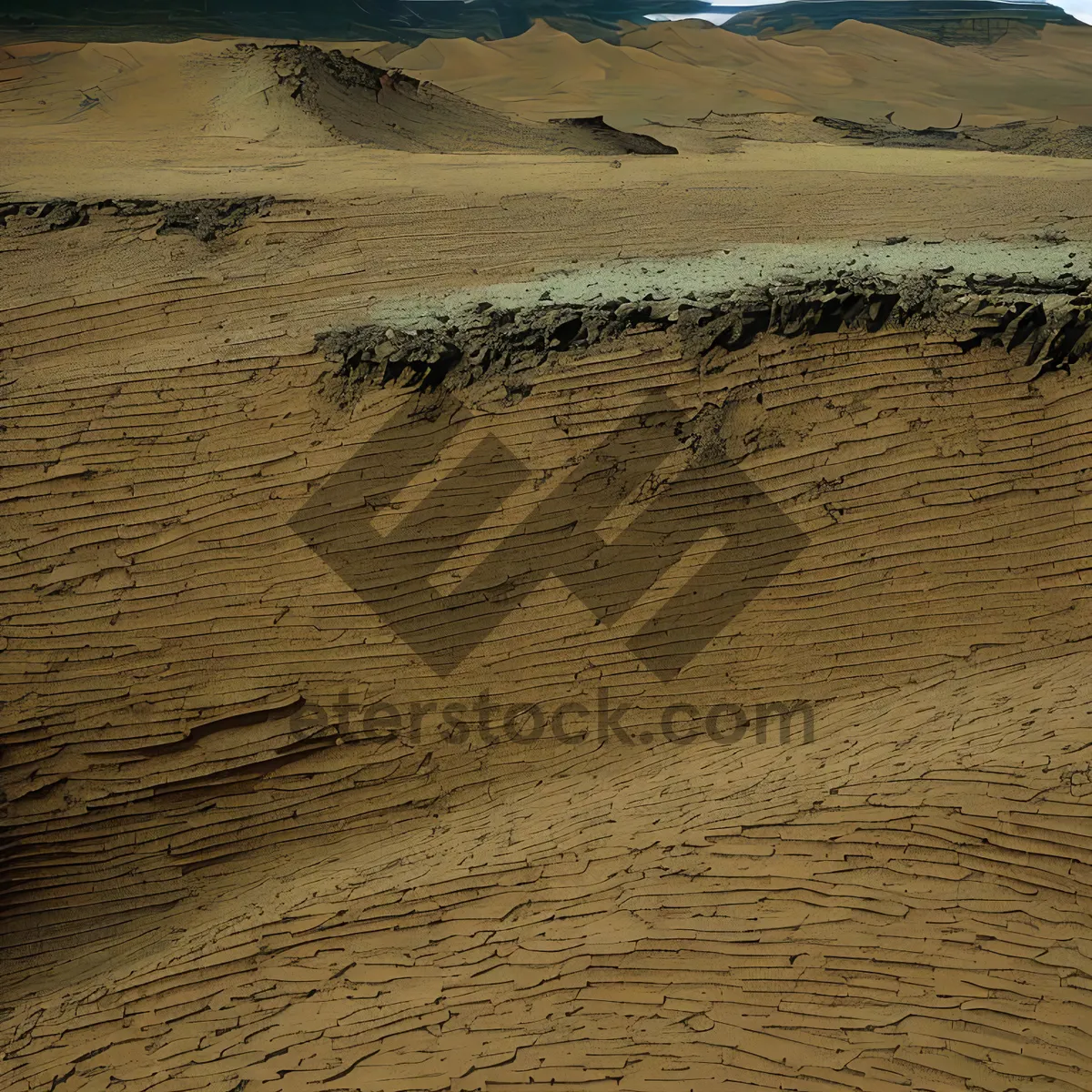 Picture of Sizzling Sands: A Sun-kissed Desert Landscape