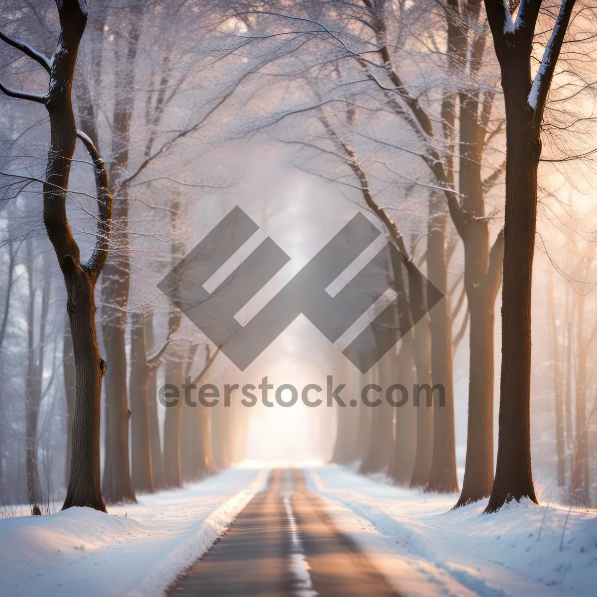 Picture of Winter Wonderland: Peaceful Park Covered in Snow