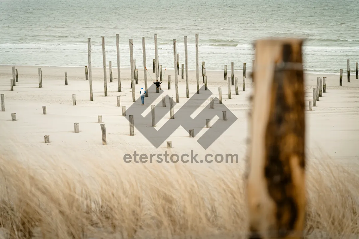 Picture of Seaside sunset over tranquil water and sandy beach pier