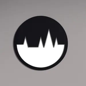 Shiny Black Round Web Icon