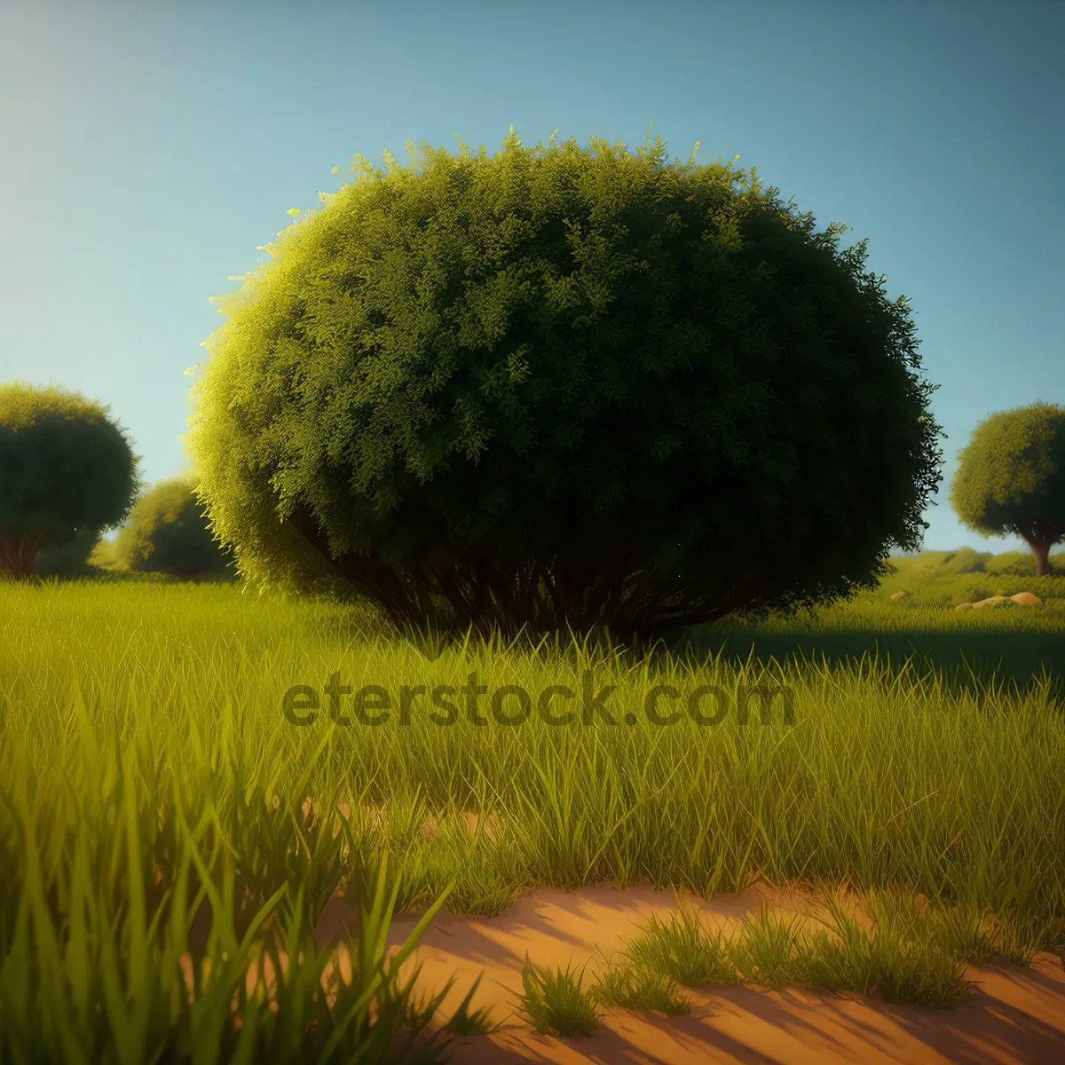 Picture of Golden Harvest Bales in Rural Landscape.