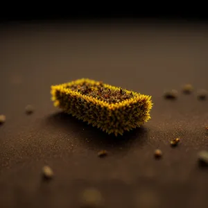 Sunflower Honeycomb: Vibrant Yellow Larva Close-up"
(Note: Bear in mind that it is important to provide a unique and descriptive name for each image, keeping in mind the given tags and relevant details.)