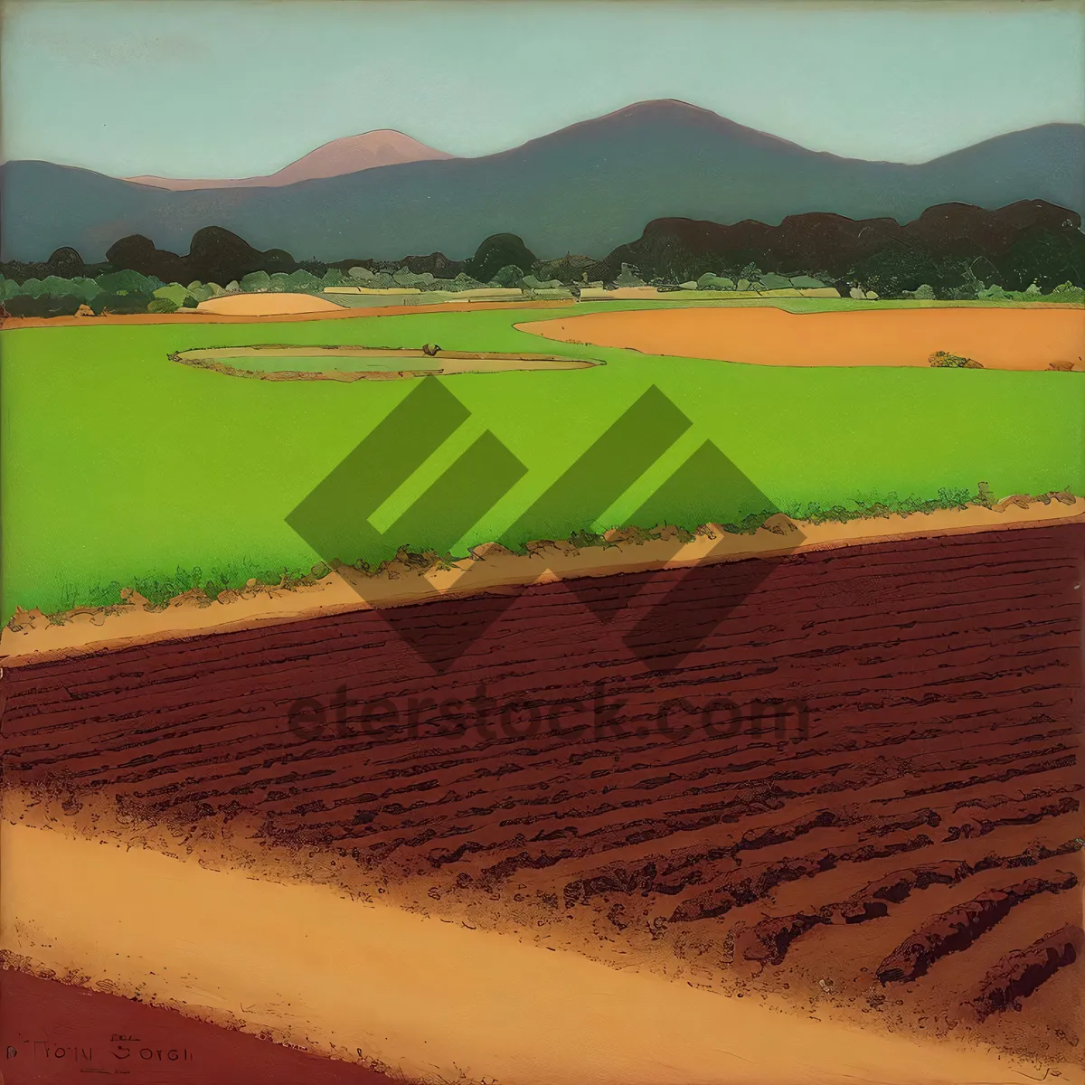 Picture of Idyllic Rice Field under Summer Sky