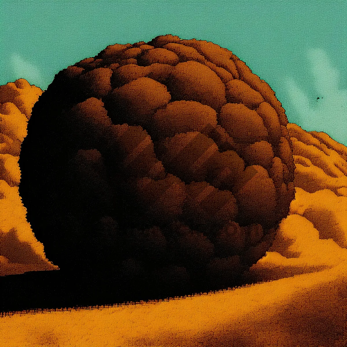 Picture of Close-up of golf ball and cauliflower
