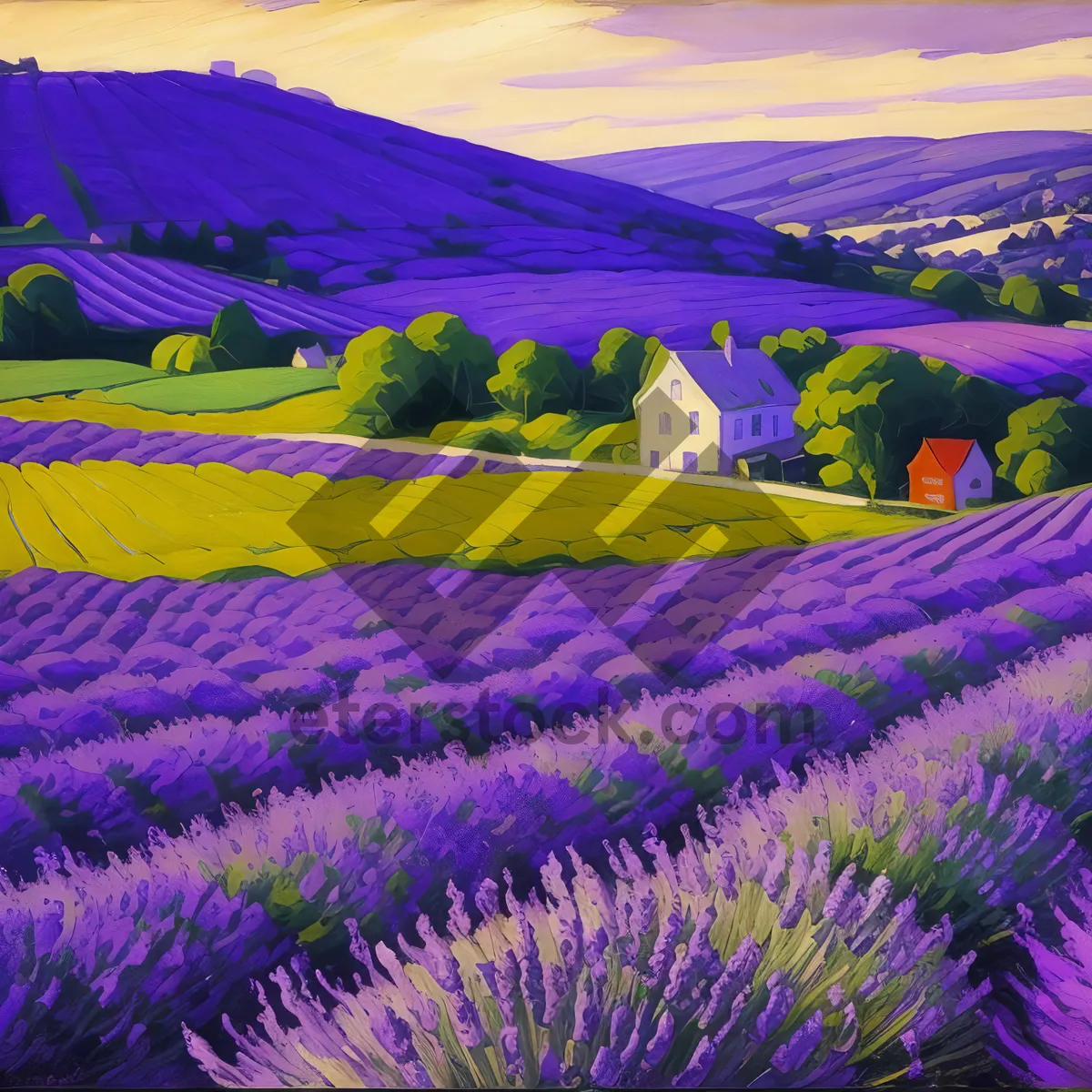 Picture of Colorful Lavender Field with Canvas Tent