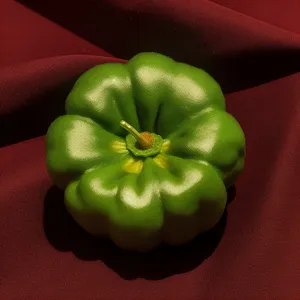 Fresh & Healthy Bell Pepper Salad With Organic Apple
