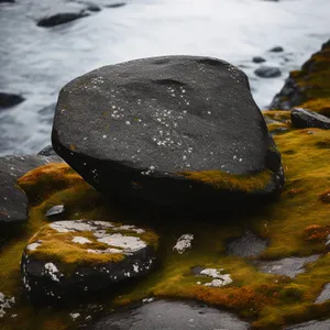 Lake with rock and horseshoe crab on shore