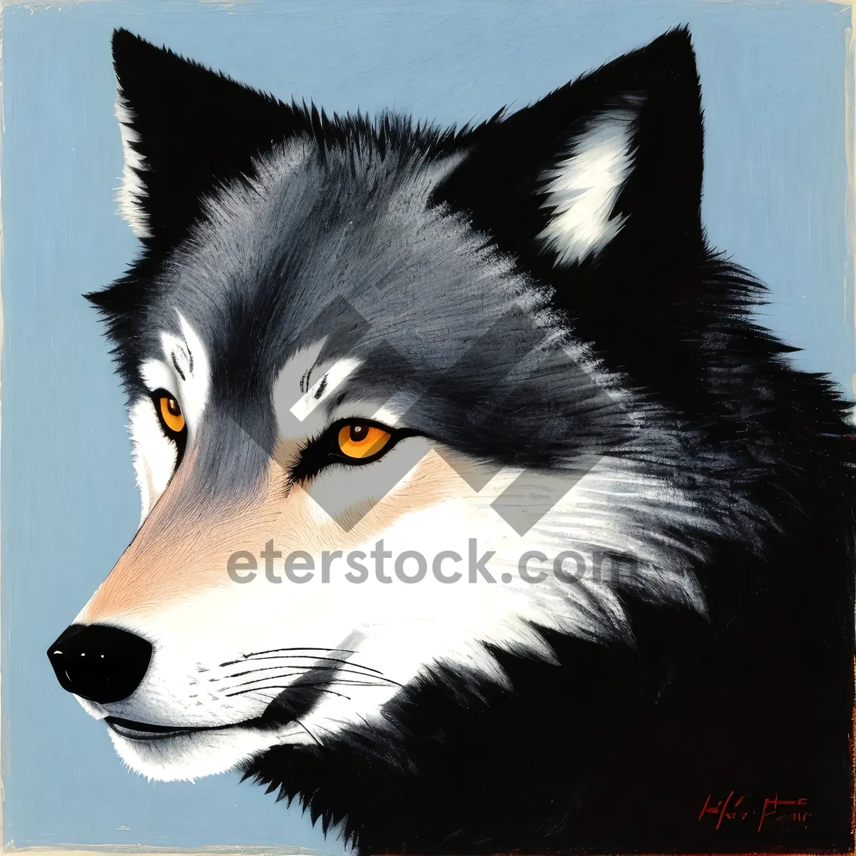 Picture of Furry Collie Shepherd Dog - Cute, Domestic Pet with Expressive Eyes