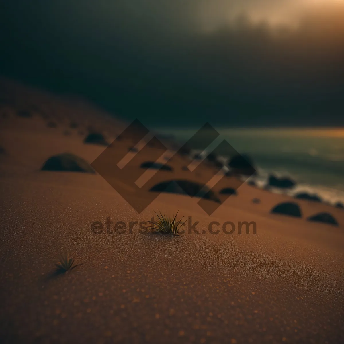 Picture of Sand Dune Sunset in Morocco