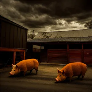 Pink Piglet in Farm Pen: Cute Snout in Hog Enclosure