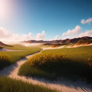 Golden Horizon over Meadow - Summer Sunset Landscape