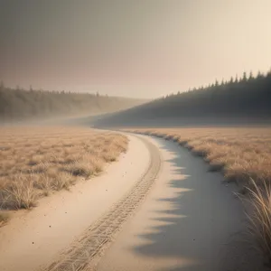 Sunny Coastal Highway with Scenic Dunes