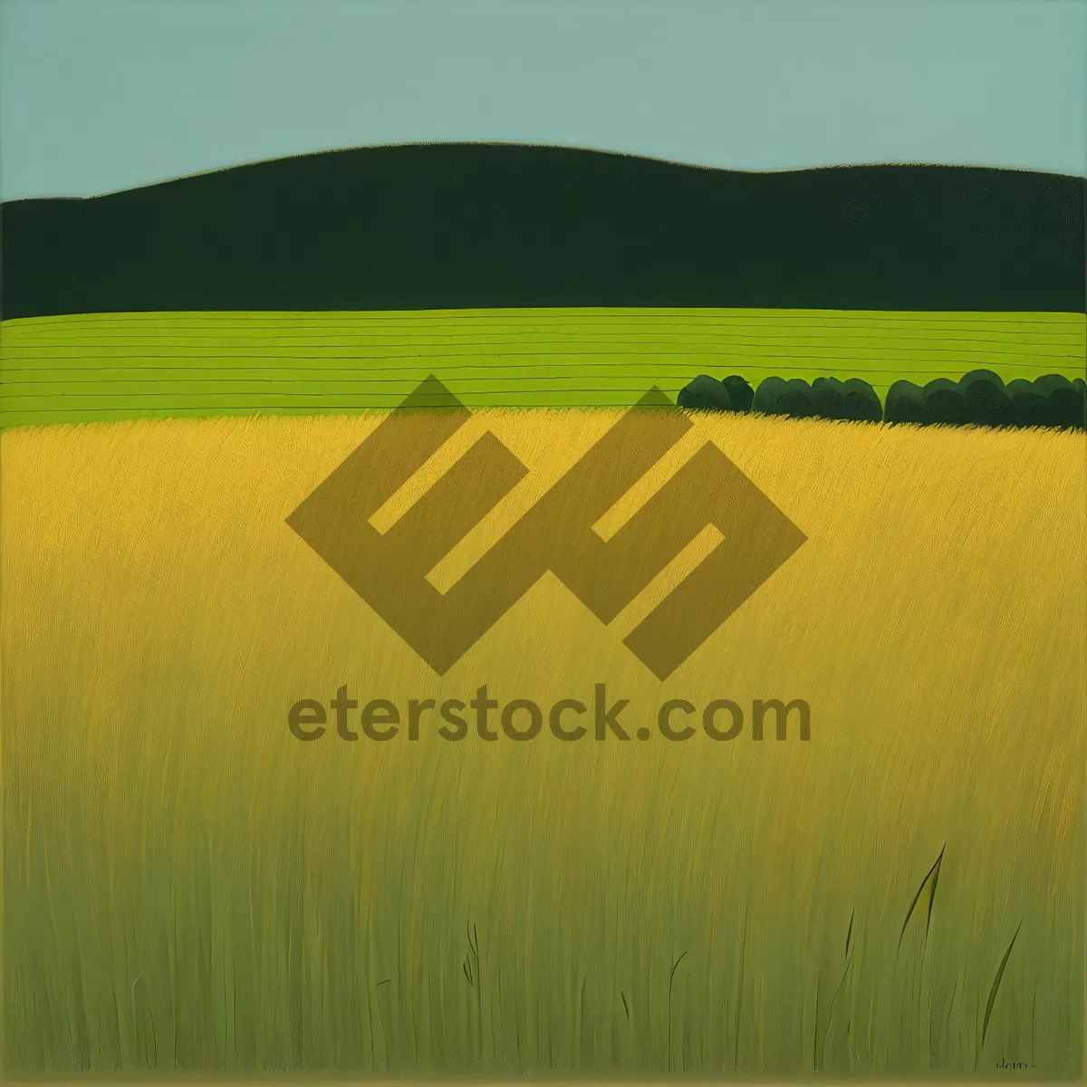 Picture of Golden fields beneath a blue sky