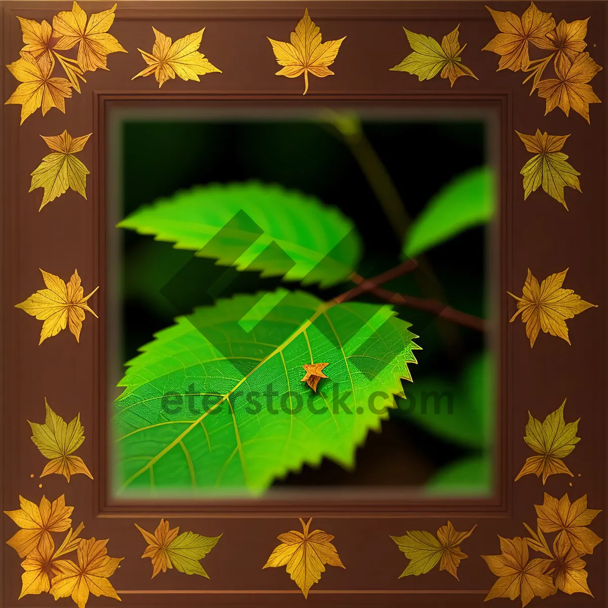 Picture of Bright Butterfly on Yellow Leaf - Colorful Foliage in Autumn Garden