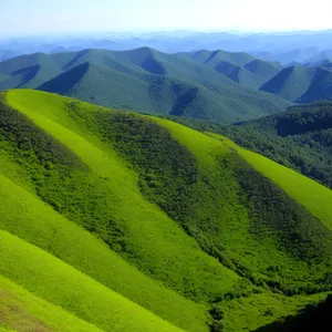 Idyllic Countryside Meadow with Rolling Hills