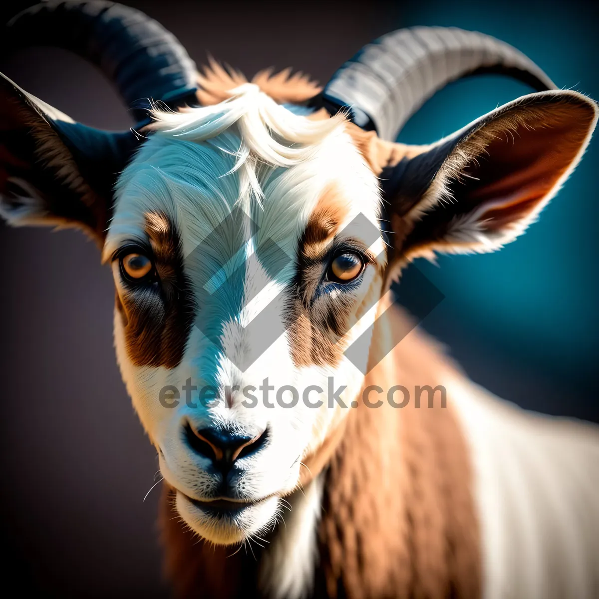 Picture of Grazing Livestock in Rural Pasture