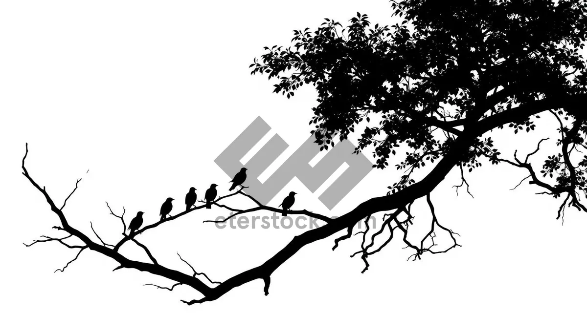 Picture of Black floral tree silhouette with oak branches