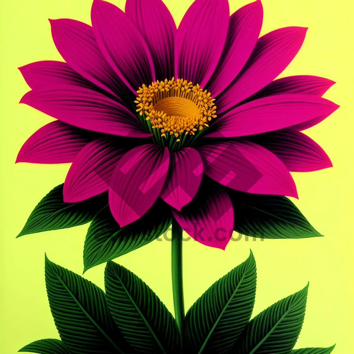 Picture of Vibrant Sunflower Blossom in Full Bloom
