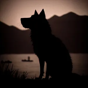 Silhouette of Black Terrier Against Sunset