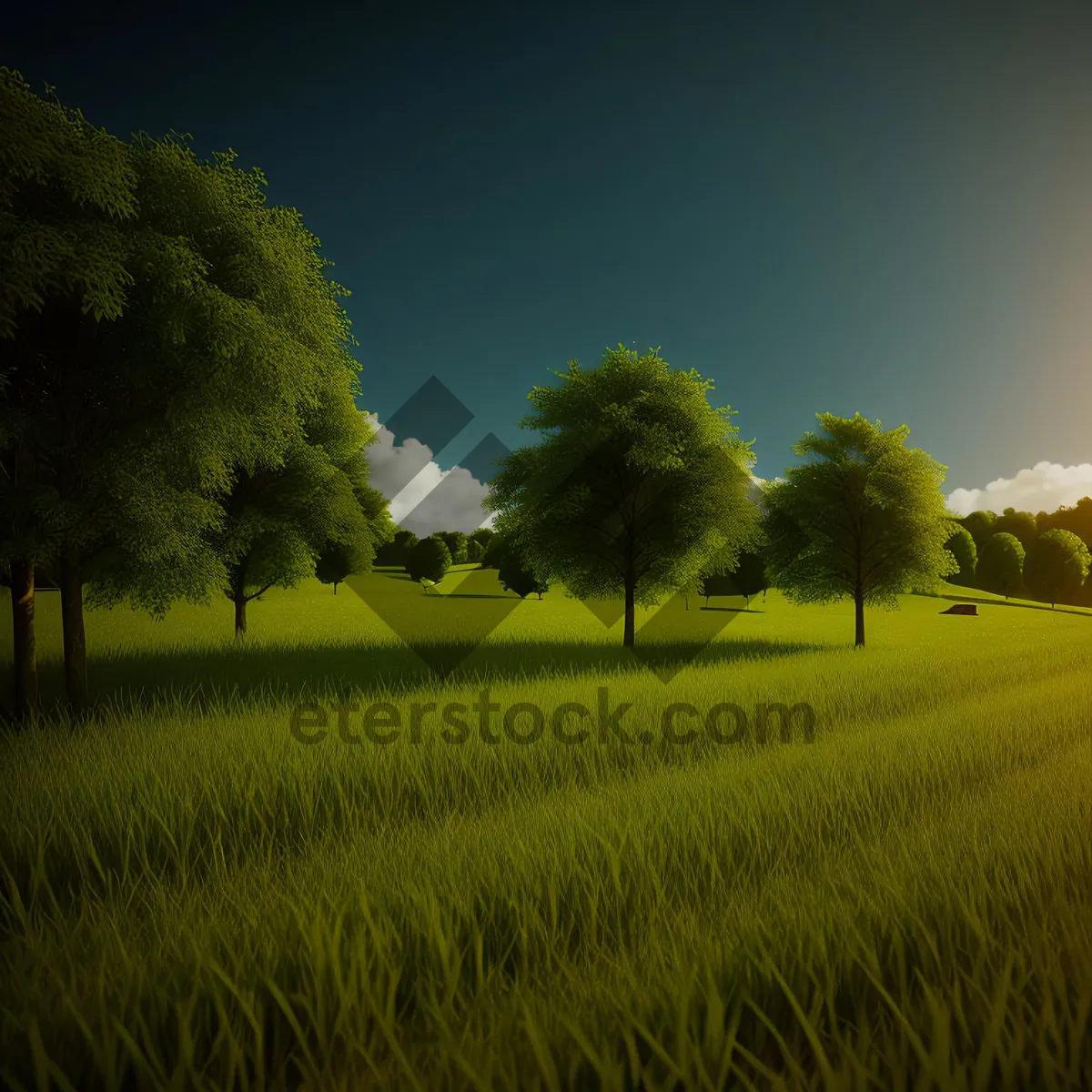 Picture of Golden Rapeseed Field Under Clear Blue Sky