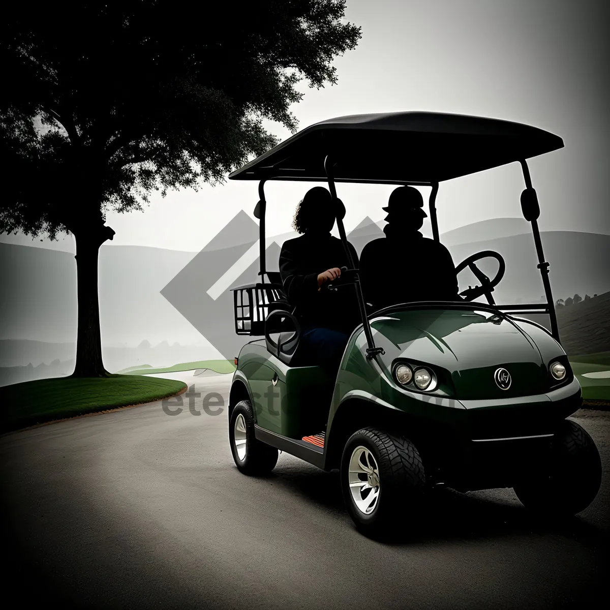 Picture of Sporty Drive on Green Grass - Golf Cart Transportation