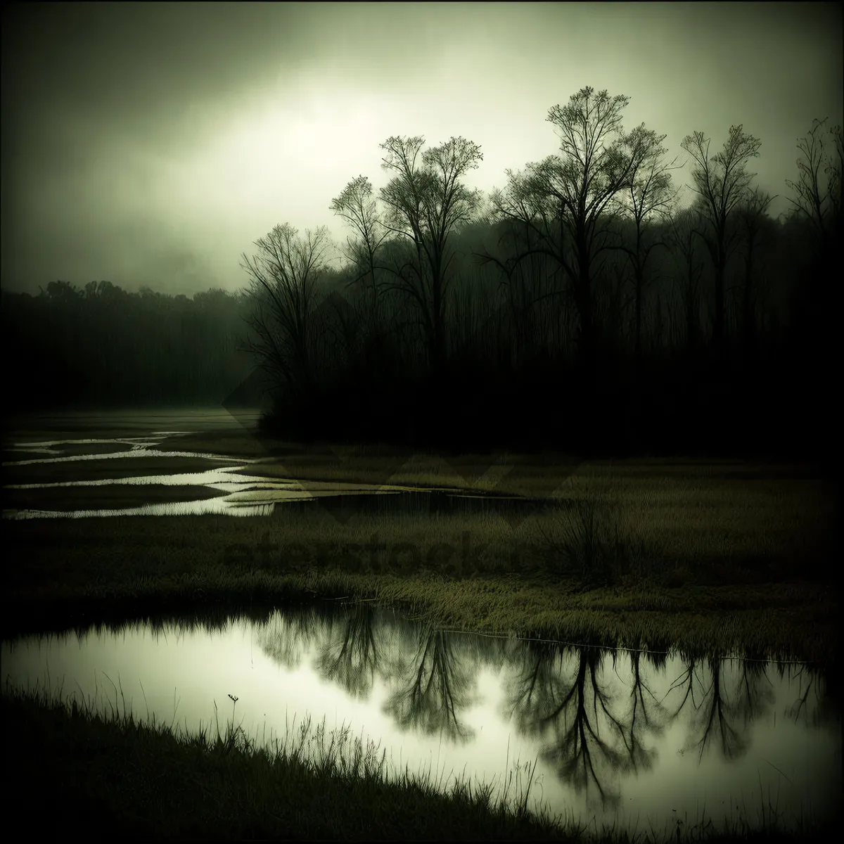 Picture of Serene Sunset over Tree-lined River