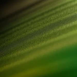 Vibrant Spring Foliage with Dew-Drenched Grass