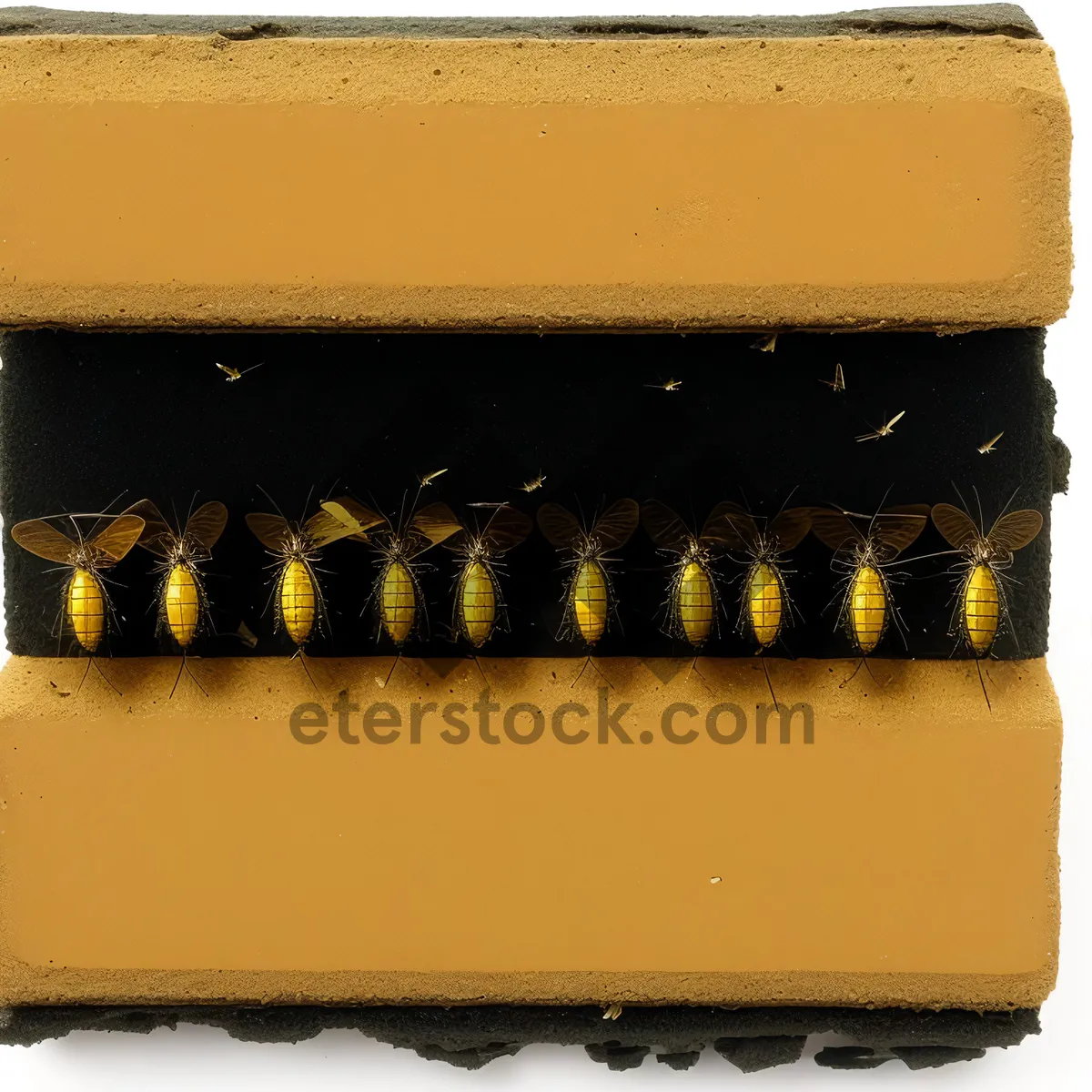 Picture of Yellow Glass Building with Honeycomb Bar