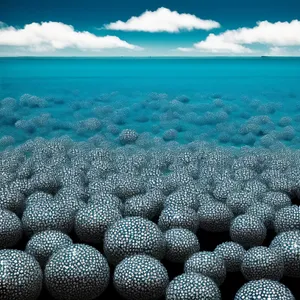 Tropical Paradise: Stunning Coral Reef Underwater