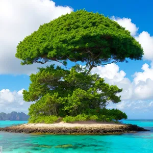 Serene Tropical Beachscape with Palm Trees