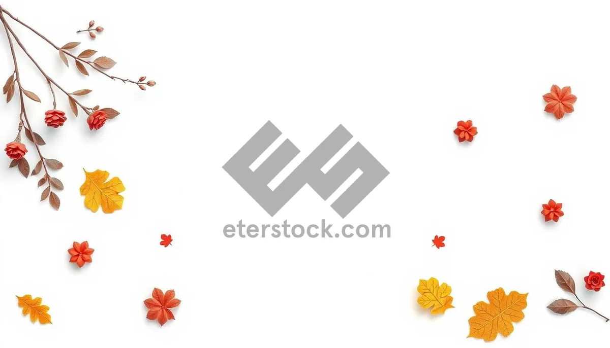 Picture of Floral Love: Pink Decorative Flower Element Frame