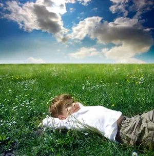 Sunny rural landscape with person in meadow.