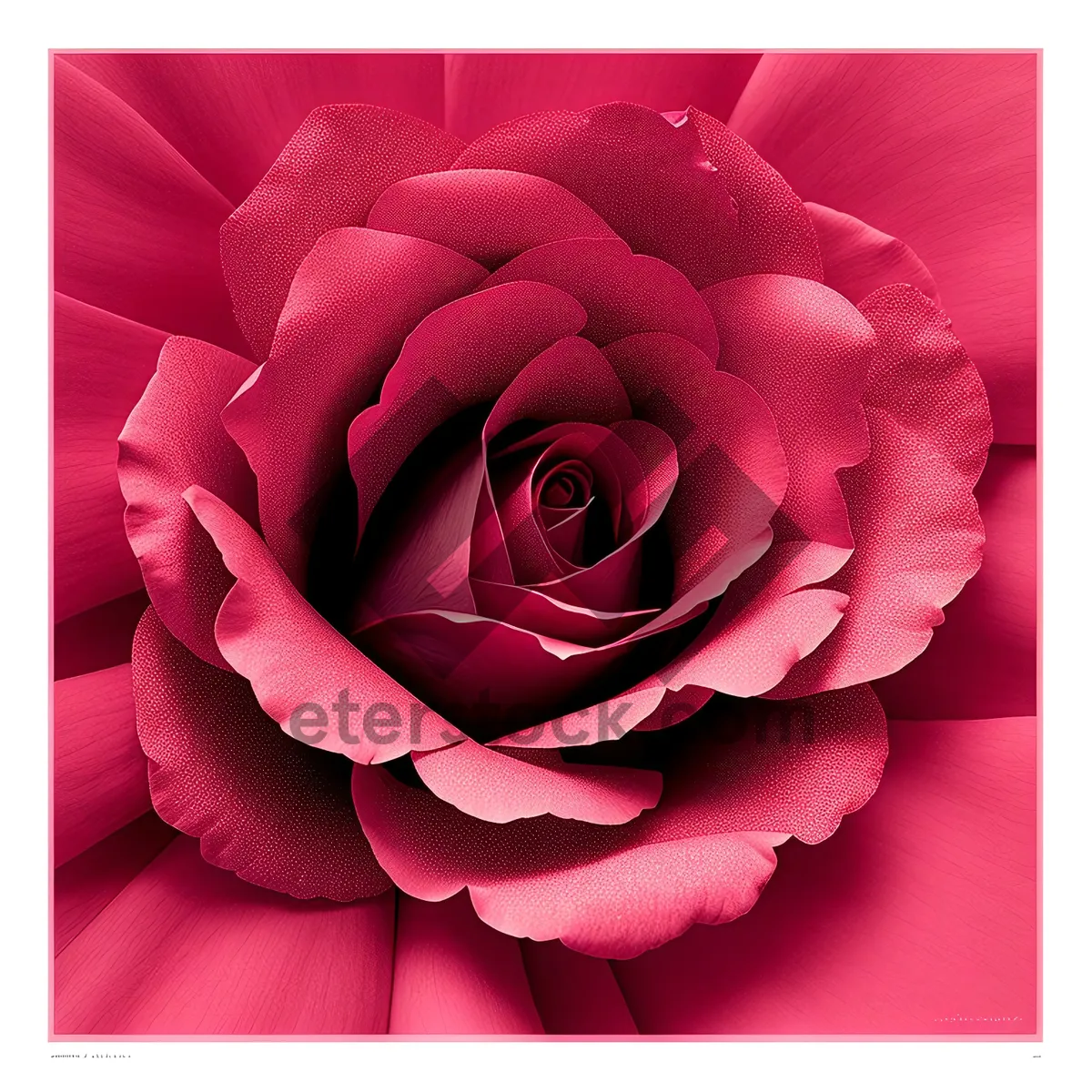 Picture of Romantic Springtime Bouquet of Pink Roses