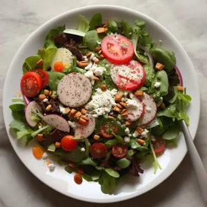 Healthy Vegetable Salad with Delicious Cheese and Fresh Tomatoes