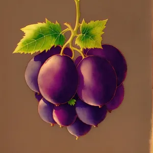 Winter Celebration: Festive Fruit Hanging on Tree Branch